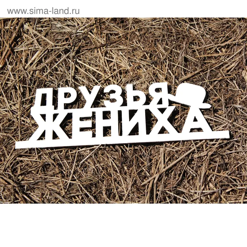 Деревянная заготовка "Друзья Жениха" 13х39х0,5 см