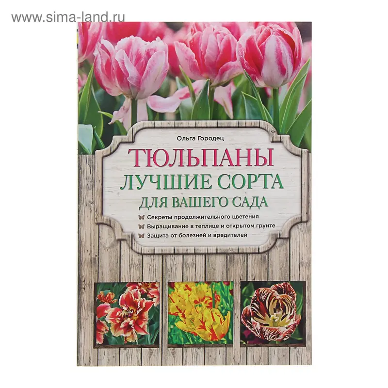 Тюльпаны: лучшие сорта для вашего сада