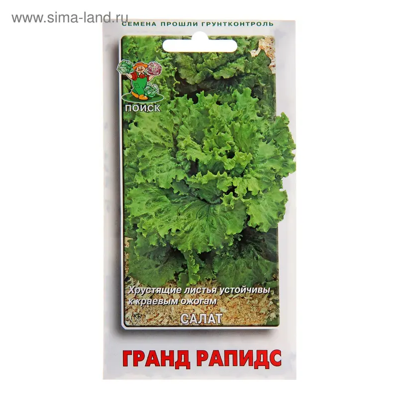Семена Салат Гранд Рапидс, 1 г