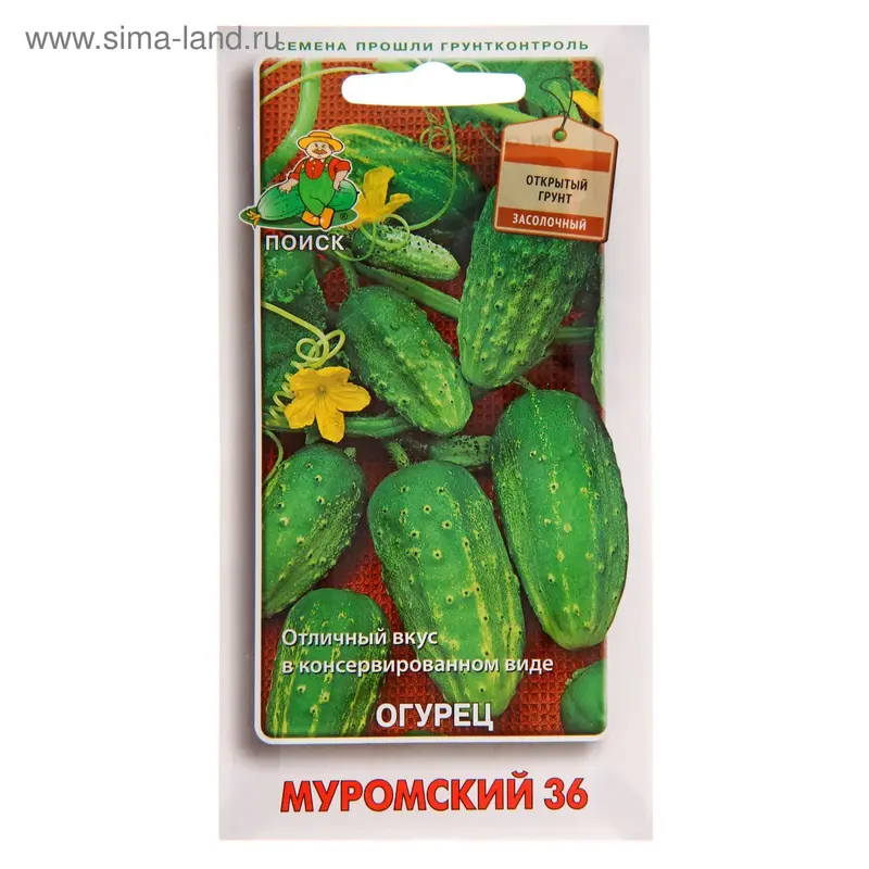 Семена Огурец Муромский 36, 15 шт