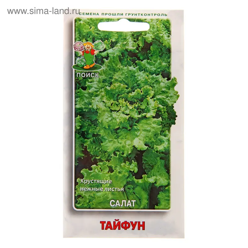 Семена Салат Тайфун, 1 г