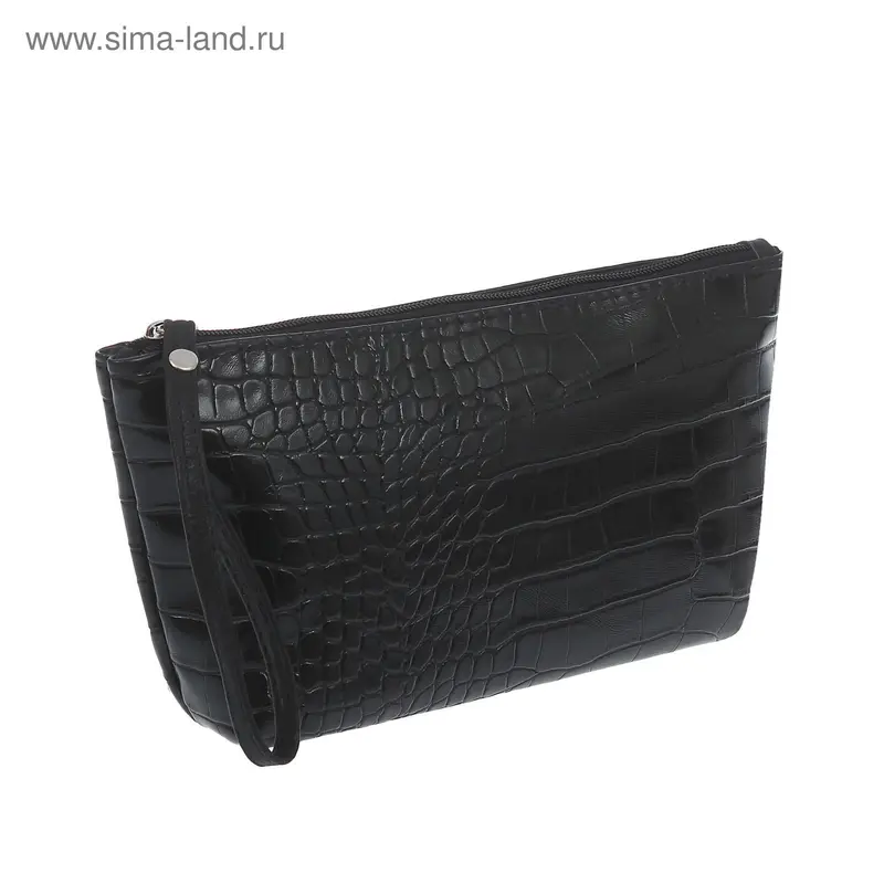 Косметичка на молнии, с ремешком, 1 отдел, цвет чёрный