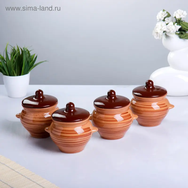 Набор горшков для жаркого №5 с ручками (К) 4×0.5 л микс