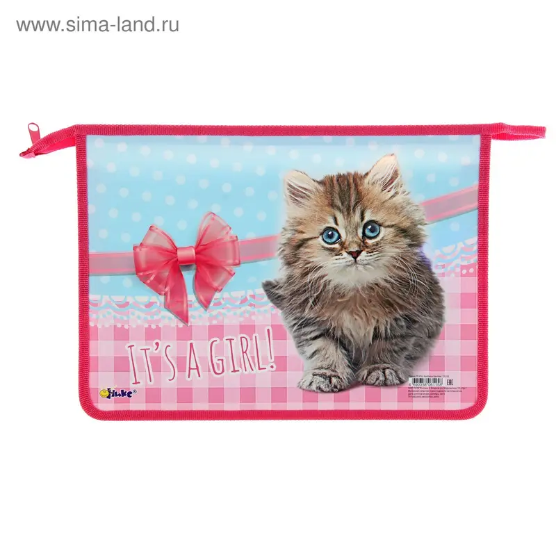 Папка для труда А4 «Котёнок Бантик», для девочки, молния сверху, пластик
