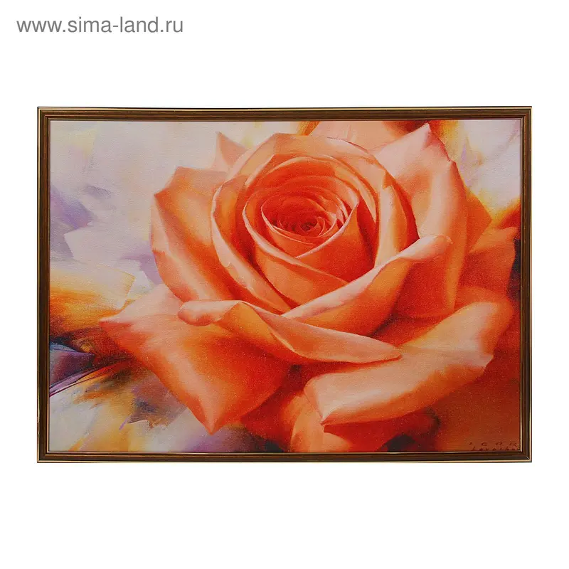 Картина "Нежная роза" 50*70см
