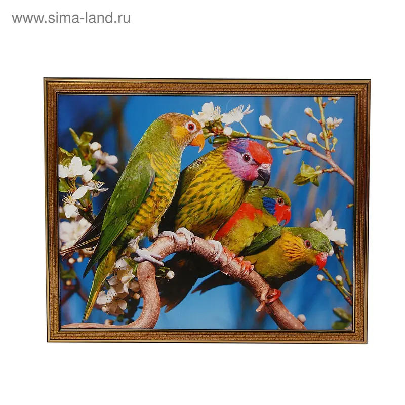 Картина "Четыре попугая" 37*30см