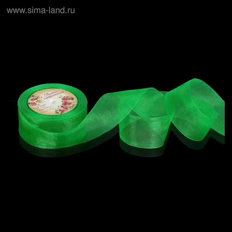 Лента капроновая, 40 мм, 20±1 м, №19, зелёная