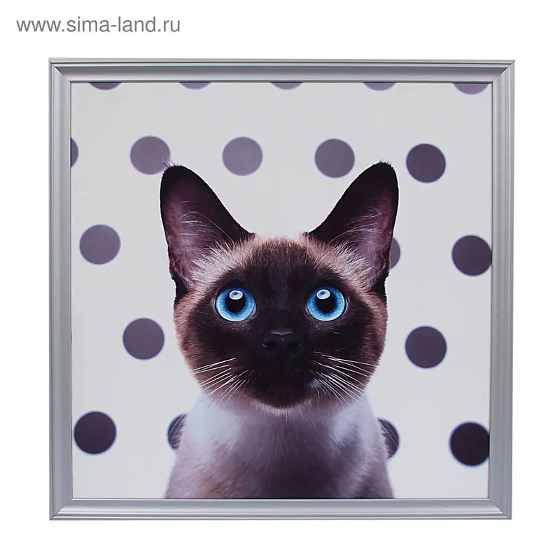Картина в раме "Сиамская кошечка" 76*76см
