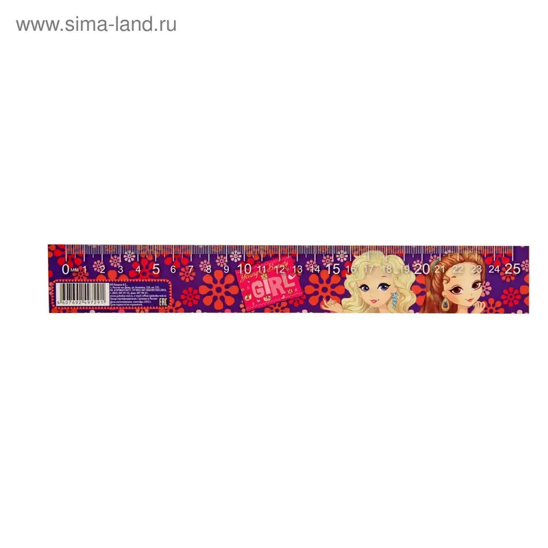 Линейка-закладка 25 см ЗЛ-25 "Девочки"