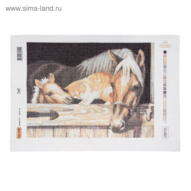 Рисунок на канве "Дружба"