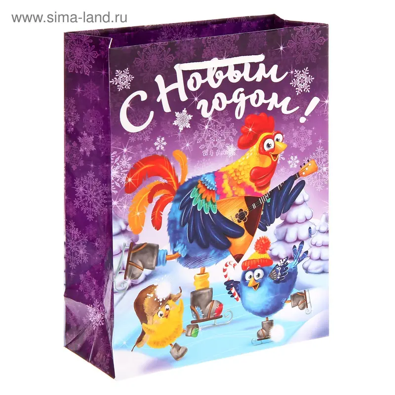 Пакет ламинированный вертикальный «На катке», 18 × 23 × 8 см