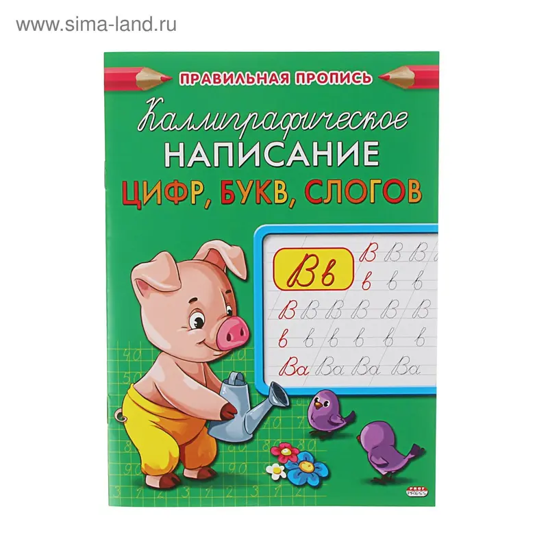 Прописи«Каллиграфическое написание цифр, букв, слогов»