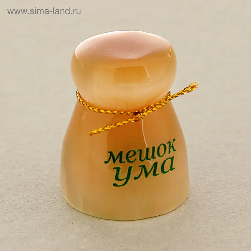 Сувенир «Мешок ума»