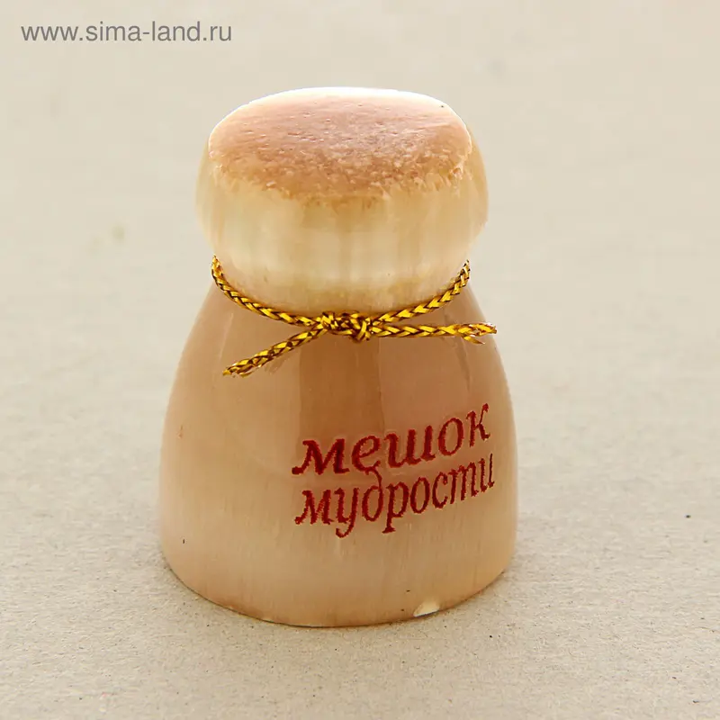 Сувенир «Мешок мудрости»