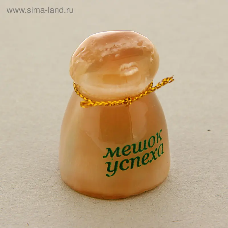 Сувенир «Мешок успеха»
