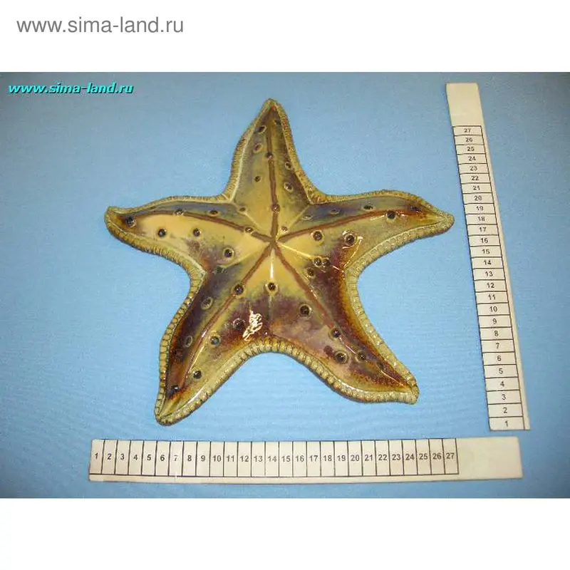 керамика морская звезда 62083 30 см (бокс 12 шт)