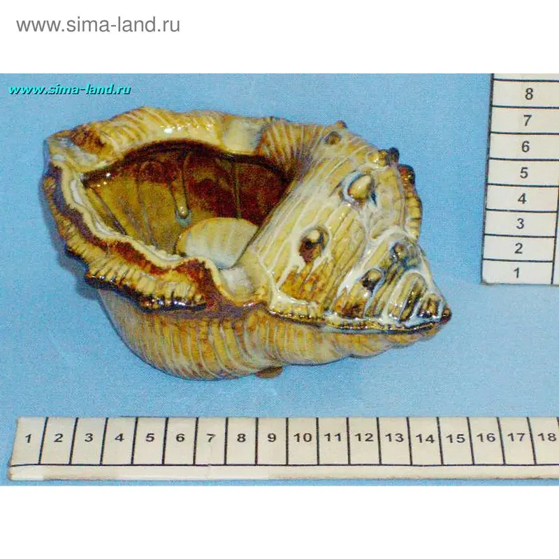 пепельница керамика 62090 ракушка бол 6см (бокс 36 шт)