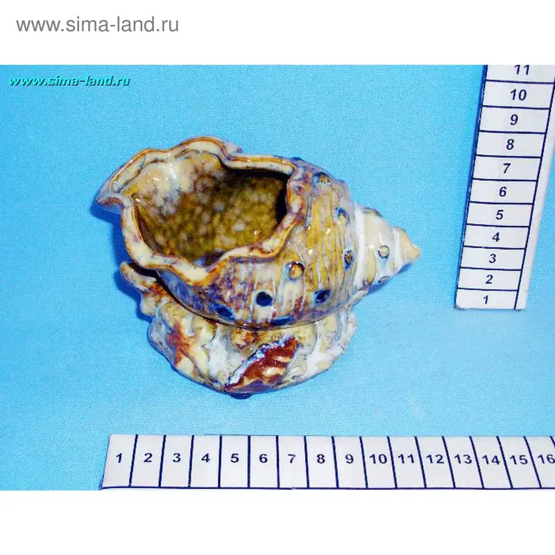 пепельница керамика 4А231 ракушка 8см (4 шт) (бокс 64 шт)