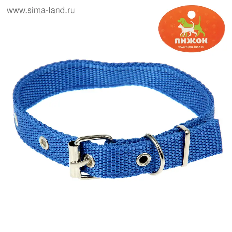Ошейник 47 х 2 см, полиэстр, синий