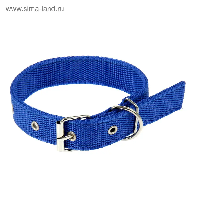 Ошейник 52 х 2,5 см,ОШ 38-48 см, полиэстр, синий