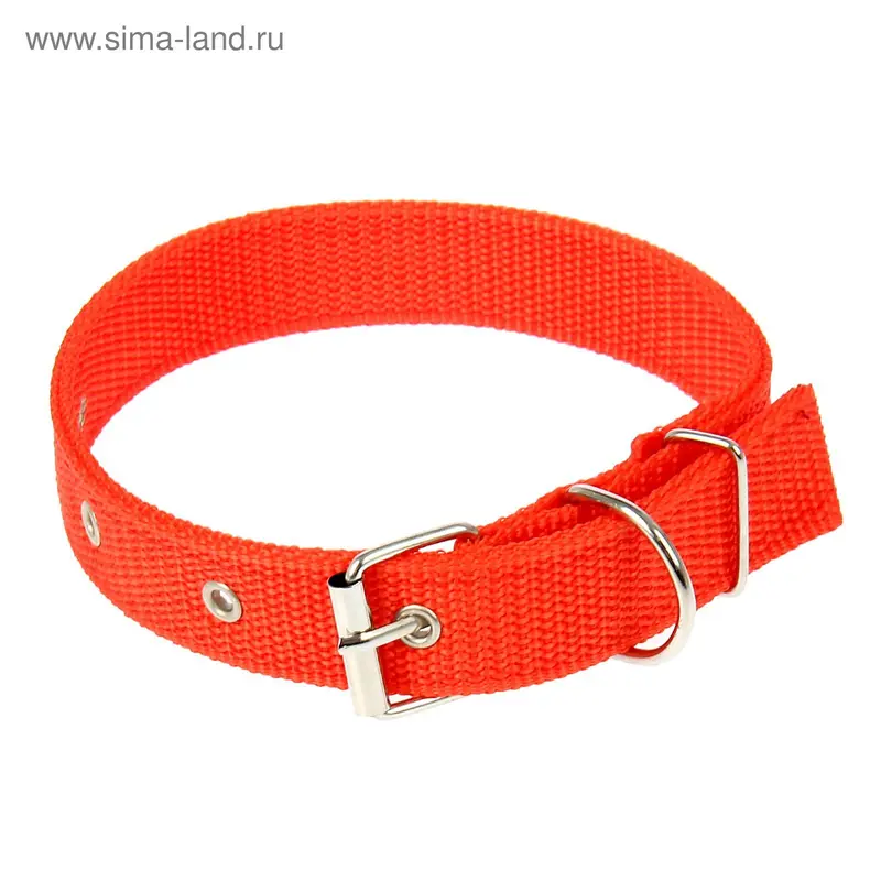 Ошейник 52 х 2,5 см,ОШ 38-48 см, полиэстр, красный