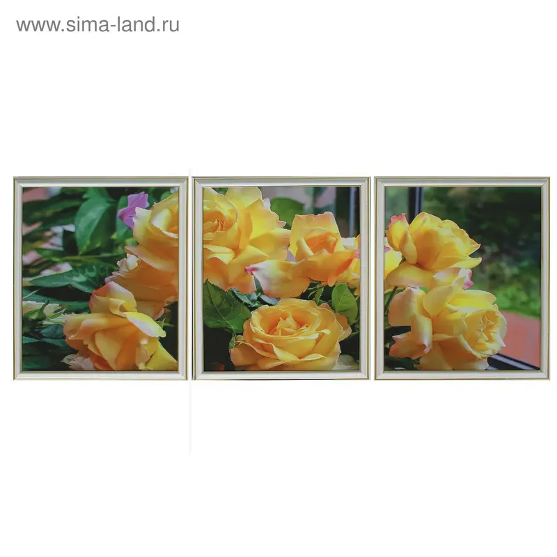 Картина модульная в раме "Жёлтые розы" 3шт-33х38см; 38*99см