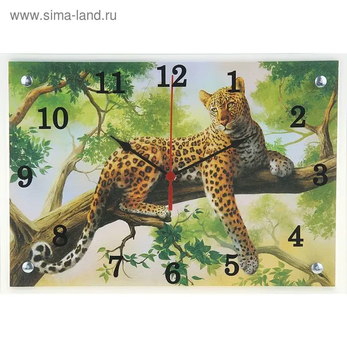 Часы настенные прямоугольные "Леопард на ветке", 25х35 см УЦЕНКА