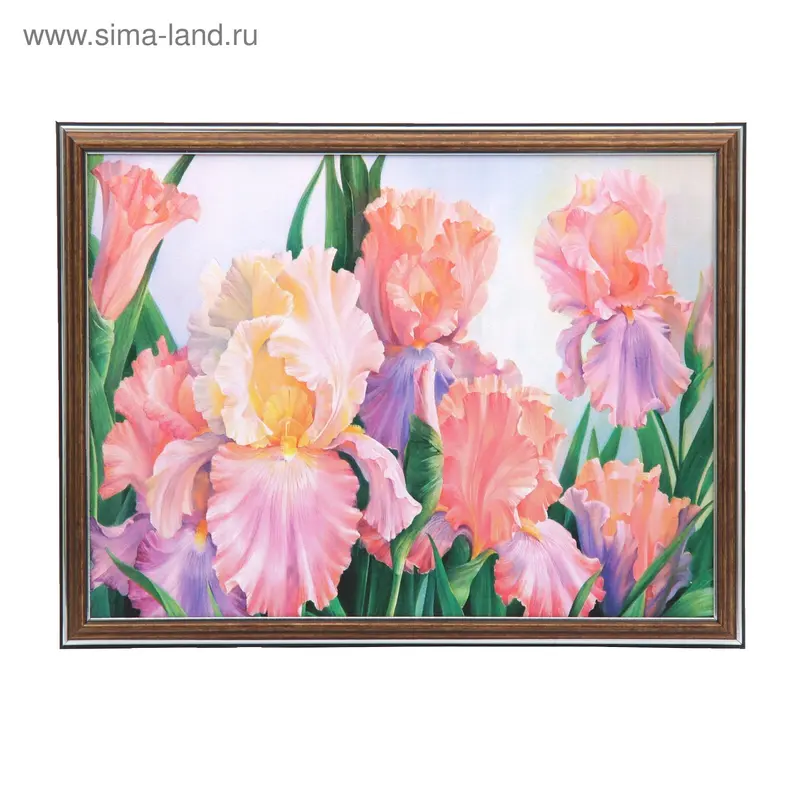 Картина "Разноцветные бутоны" 33*43 см рамка микс