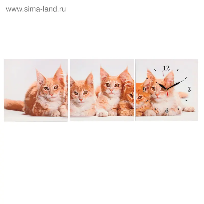 Часы-картина модульные «Котики», 30 × 90 см