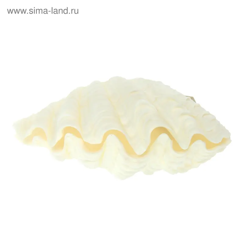 Ракушка декоративная двустворчатая, 8-9 см