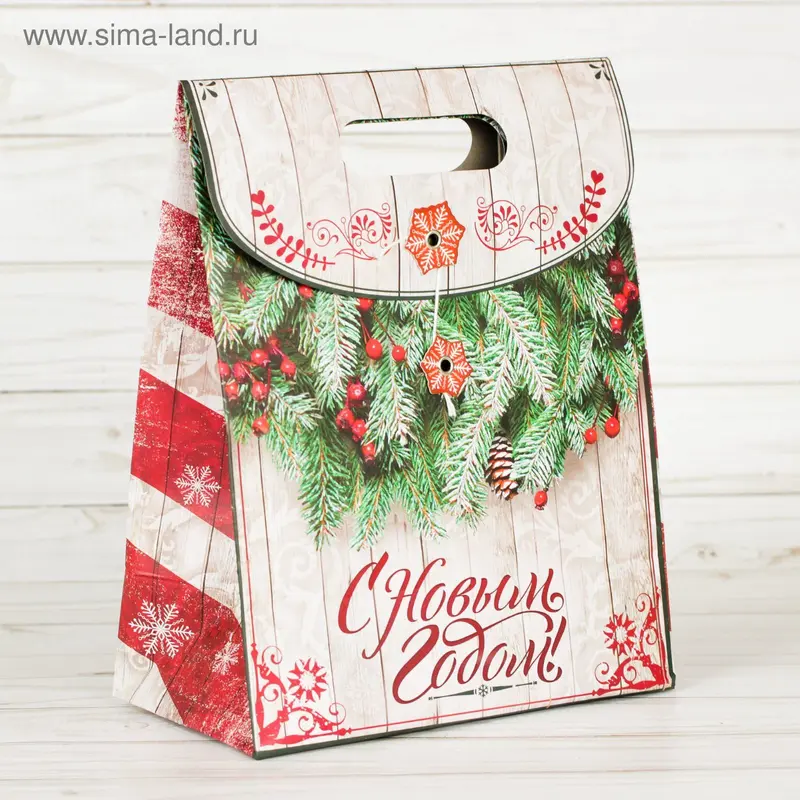 Пакет подарочный «С Новым годом!», 18 × 23 × 10 см