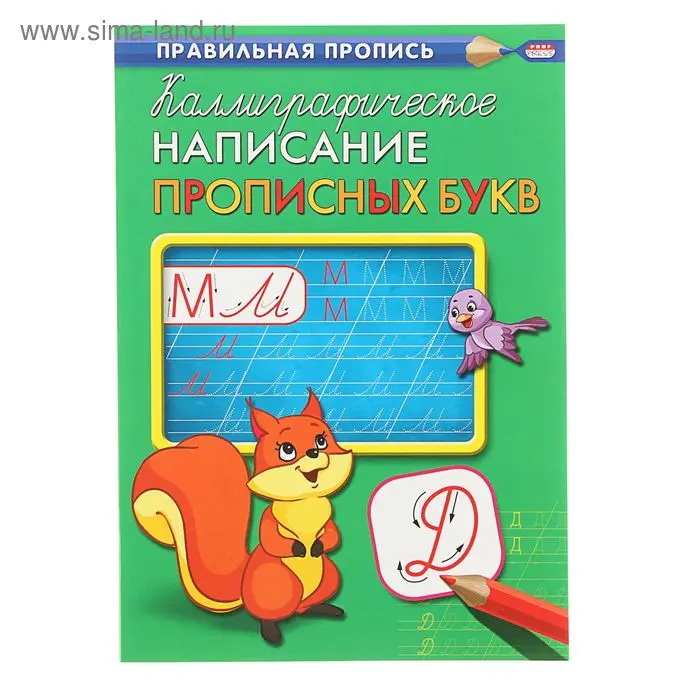 Прописи А4 Каллиграфическое написание прописных букв