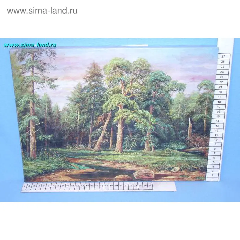 картина 625 холст фото 28*38 Y263 природа (бокс 30 шт)