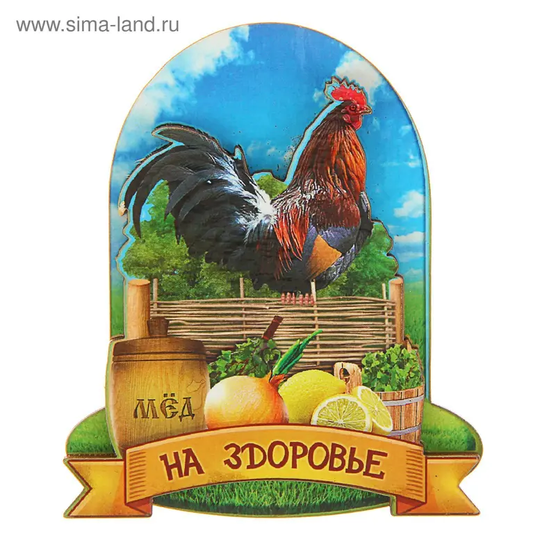 Магнит "На здоровье " на плетне символ года 2017