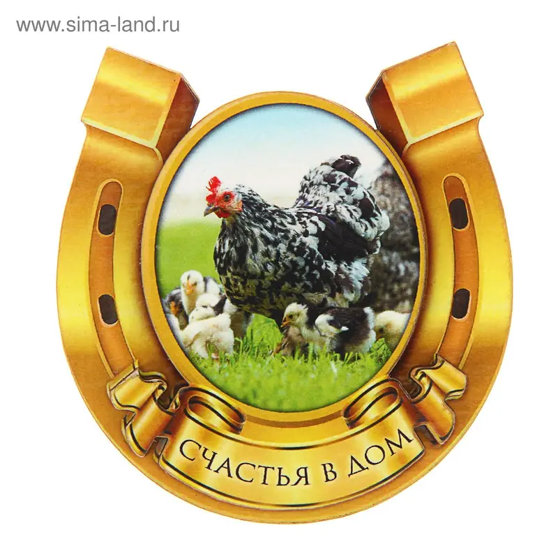 Магнит "Счастья в дом" подкова символ года 2017