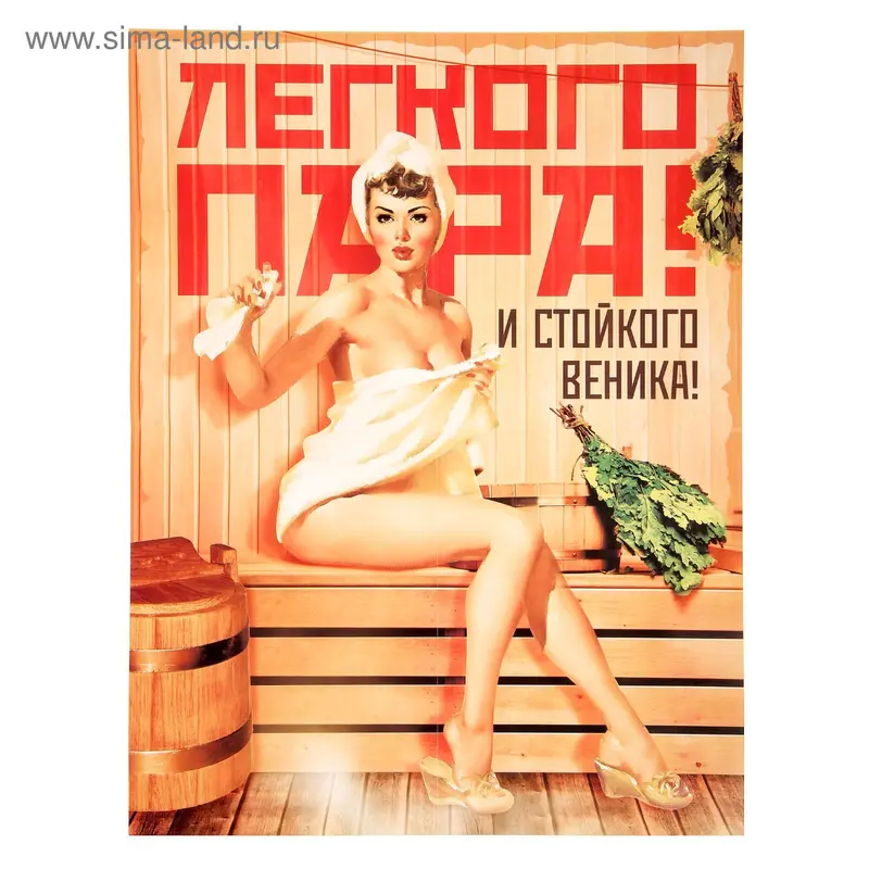 Плакат банный "Легкого пара и стойкого веника", А2