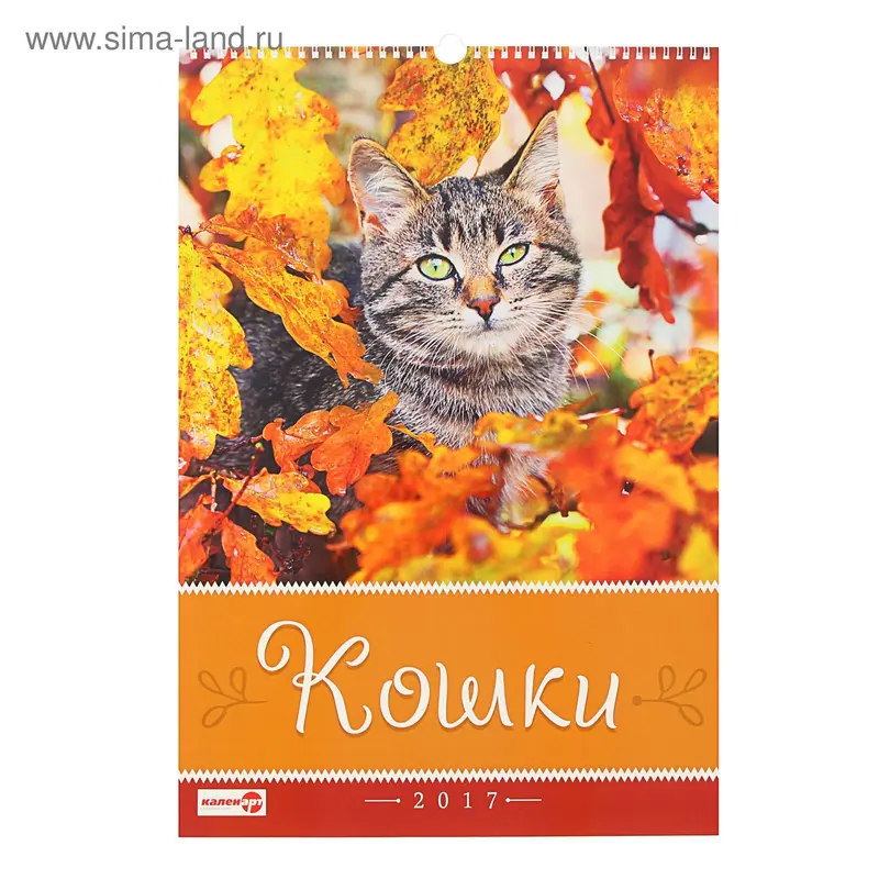 Календарь перекидной на ригеле "Кошки", 34х49 см