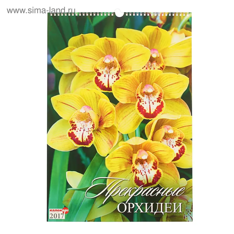 Календарь перекидной на ригеле "Прекрасные орхидеи", 34х49 см
