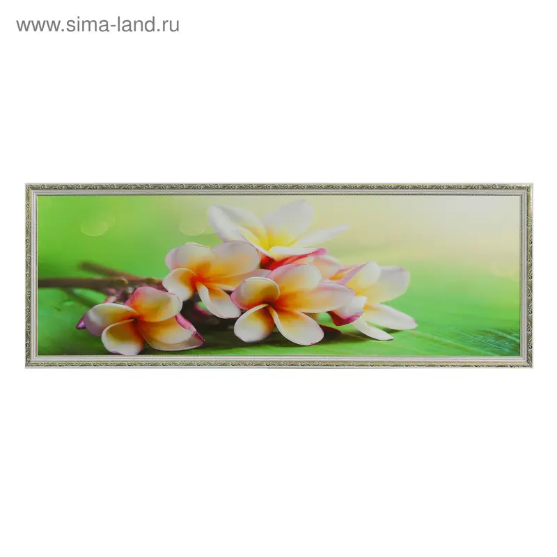 Картина "Индийский жасмин" 50*150 см