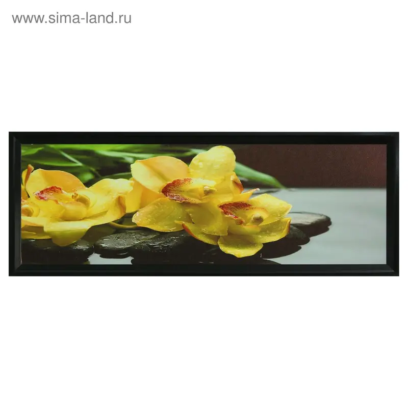 Картина "Жёлтые орхидеи" 47*127 см рамка МИКС