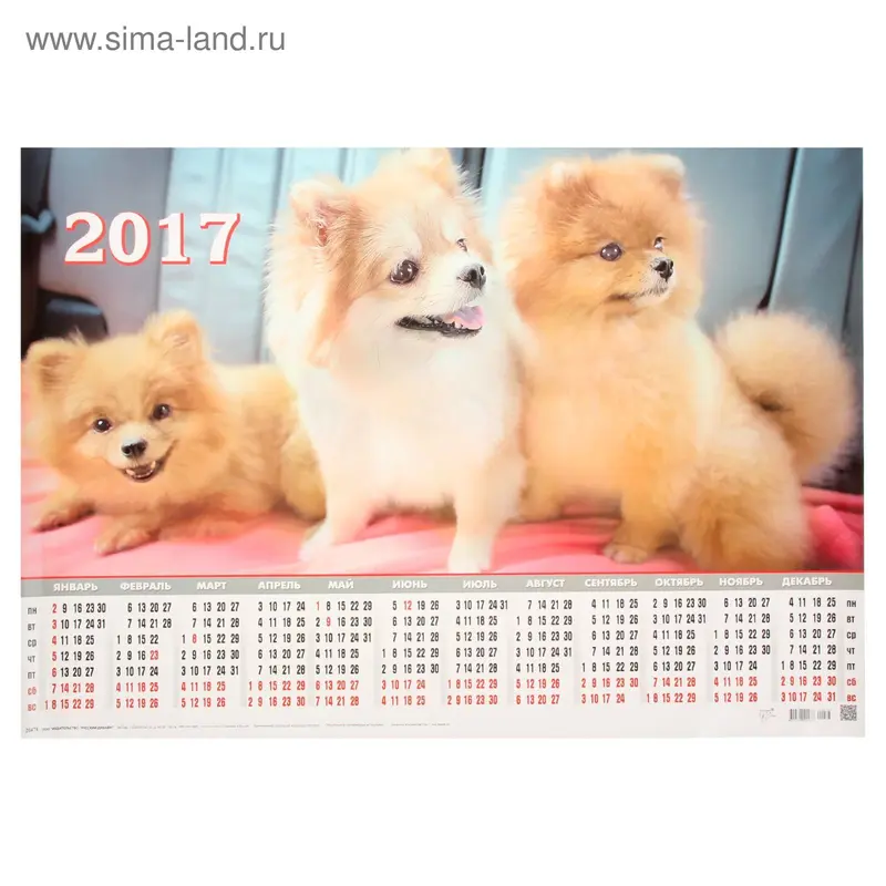 Календарь 2017 Лист А2 "Собаки-шпицы"