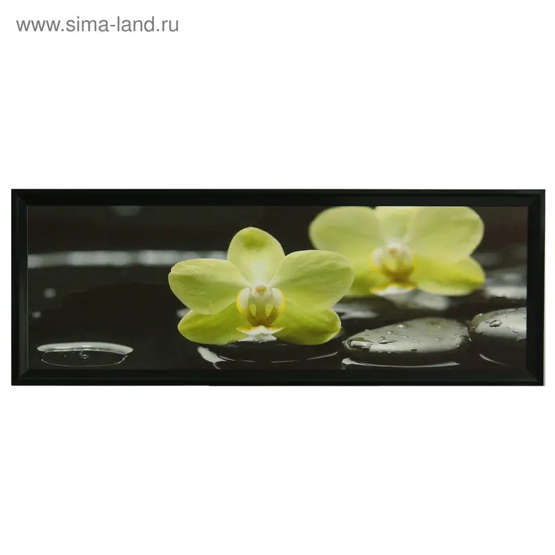 Картина "Нежно-жёлтые орхидеи" 40*120 см