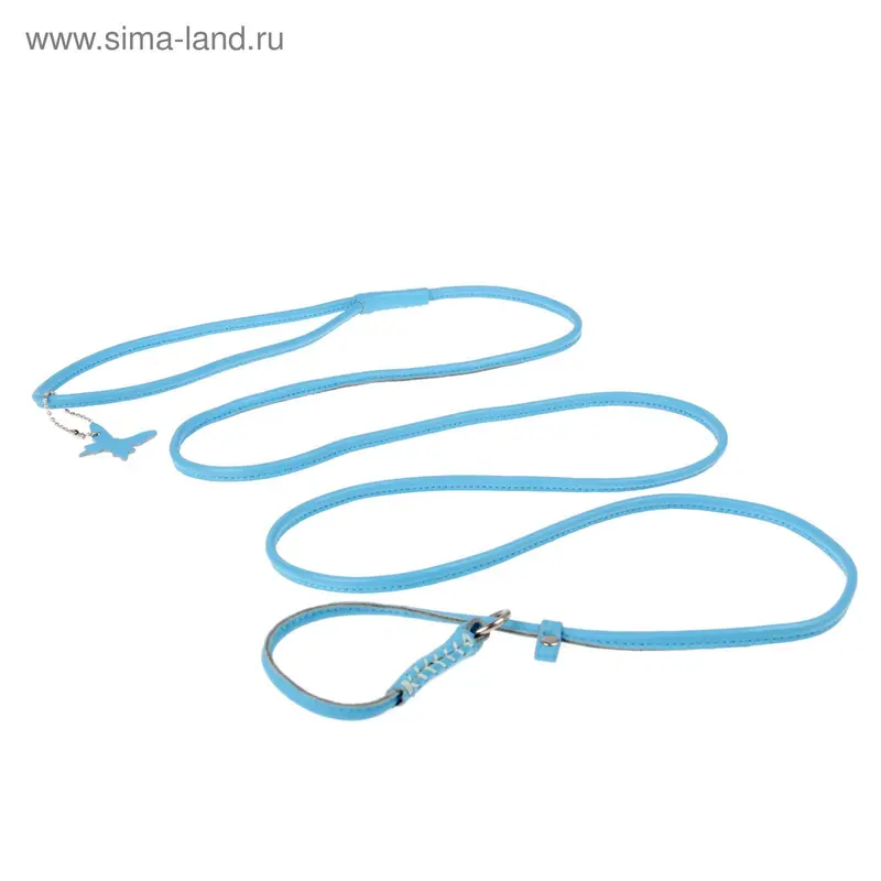 Поводок-удавка CoLLaR Glomour, 1.83 м х 0.4 см, синий