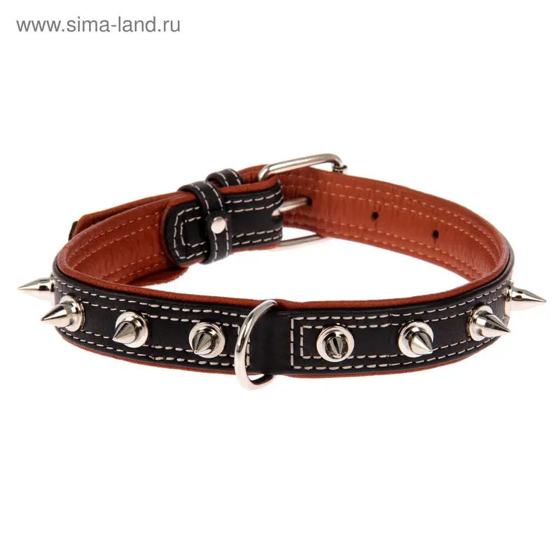 Ошейник c шипами, черный верх, 38-49 х 2,5 см