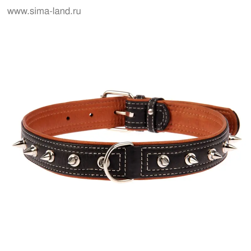 Ошейник c шипами, черный верх, 57-71 х 3,5 см