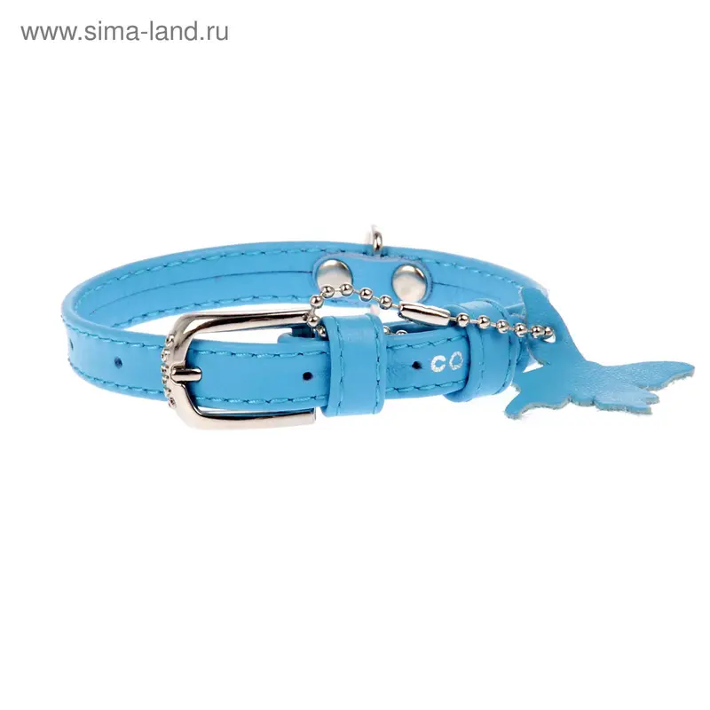 Ошейник неукрашенный CoLLaR Glomour, 21-29 х 1,2 см, синий