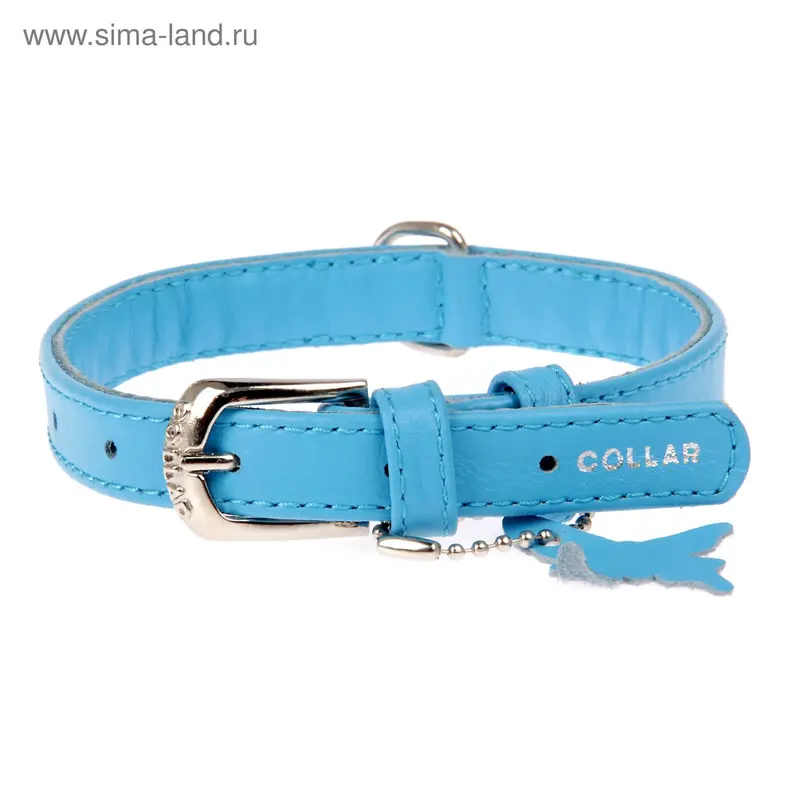 Ошейник неукрашенный CoLLaR Glomour, 27-36 х 1,5 см, синий