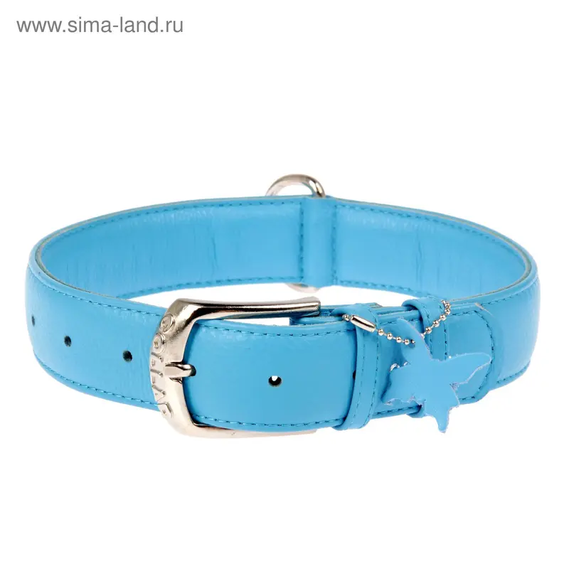 Ошейник неукрашенный CoLLaR Glomour, 46-60 х 3,5 см, синий