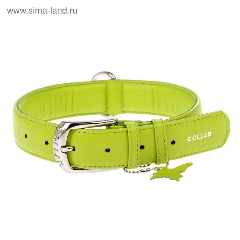 Ошейник неукрашенный CoLLaR Glomour, 46-60 х 3,5 см, зеленый