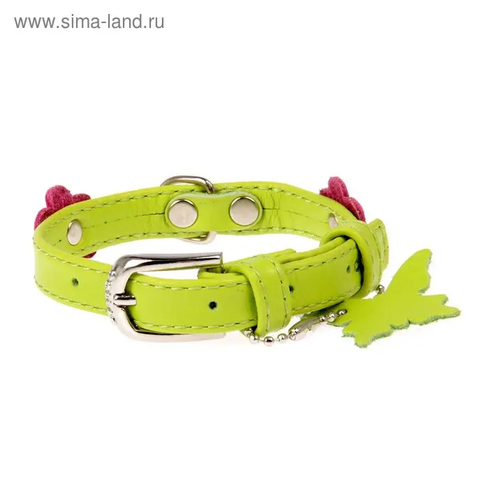 Ошейник украшенный CoLLaR Glomour аппликация 21-29 х 1,2 см, зеленый